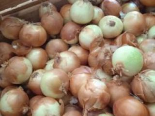 I will buy an onion for peeling. Caliber 5+.