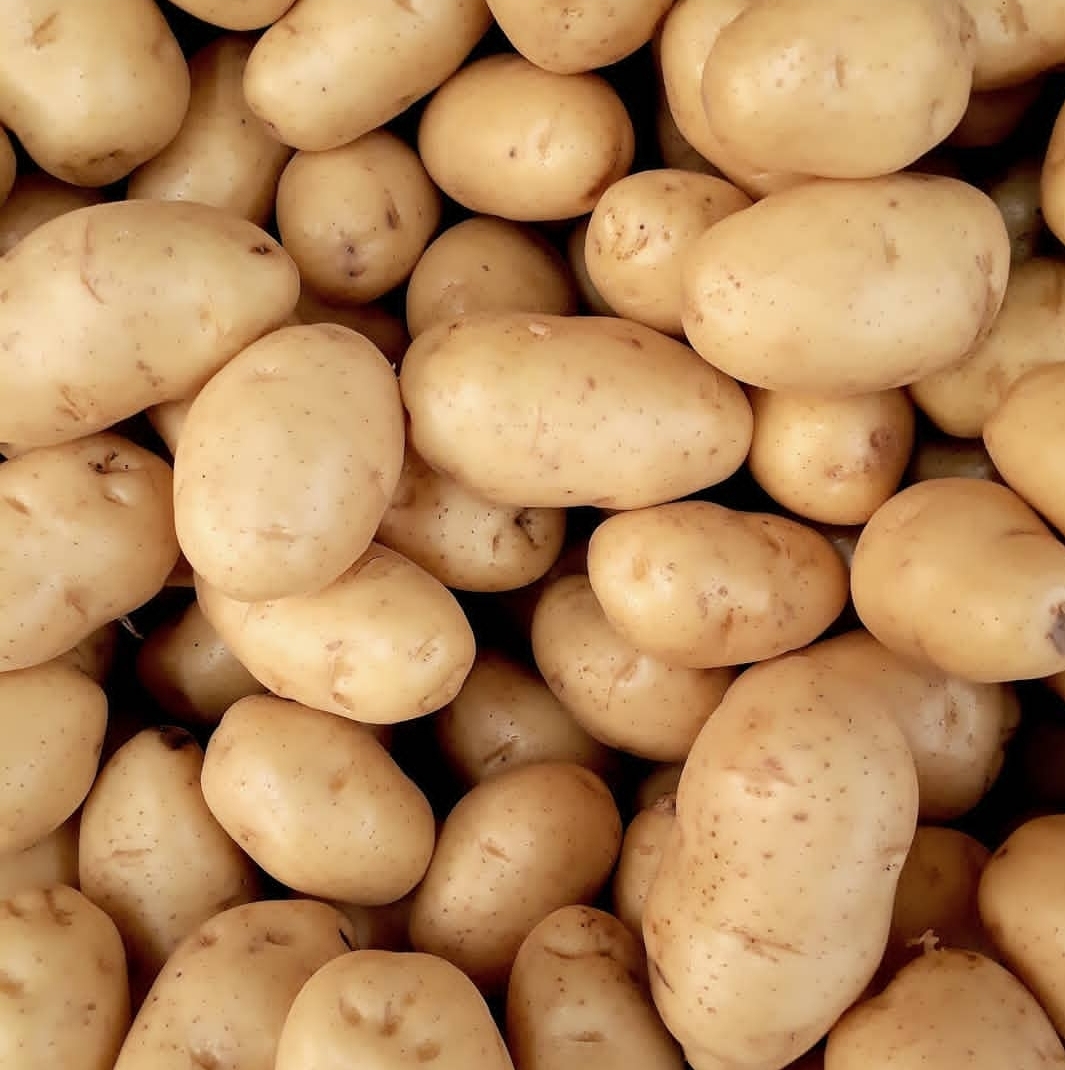 When it comes to potatoes we grow Rooster potatoes in tones espacial during its seasons