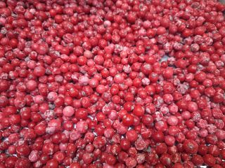 We offer export-quality Idared, Jonaprince, Golden, Gala, Red Chif,