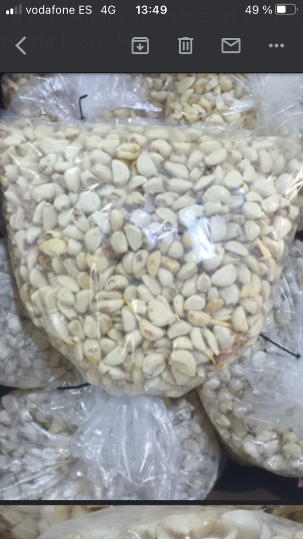 Peeled garlic directly from the manufacturer possible transport Europe we speak Polish and Spanish