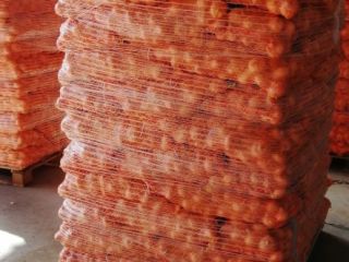 we are alshams company for exporting all agricultural crops