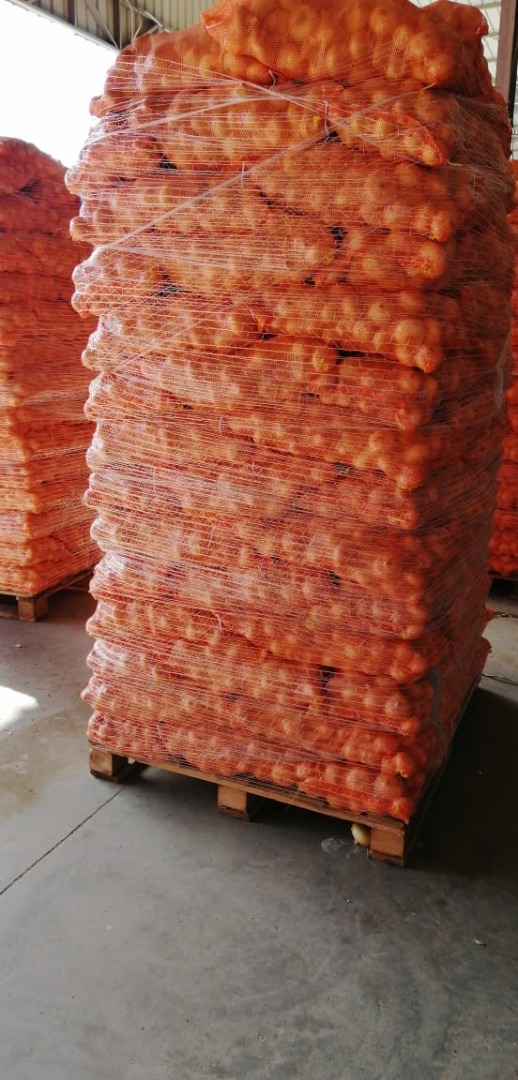 we are alshams company for exporting all agricultural crops from Egypt to all the world