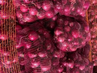 Onion caliber 5+, advantage 6-10 cm, the possibility of