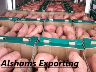 We are ALshams for general import and export .