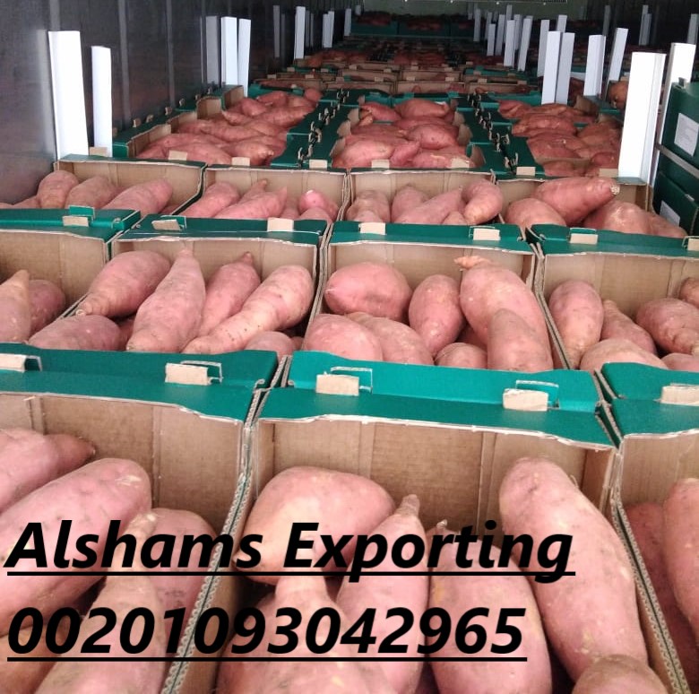 We are ALshams for general import and export
