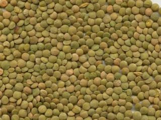 I will buy organic green lentils. Quality confirmed by