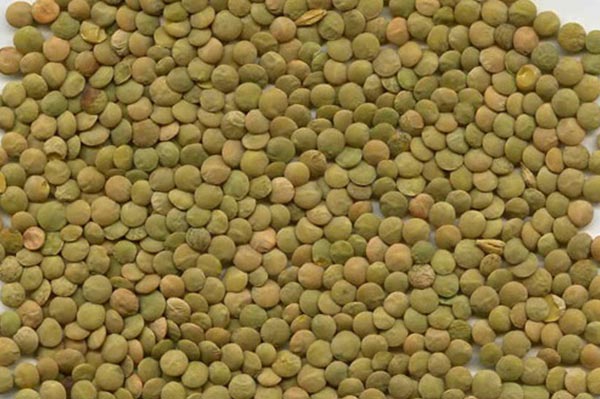 I will buy organic green lentils