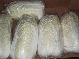 I will sell Chinese cabbage caliber 1.5-2.5