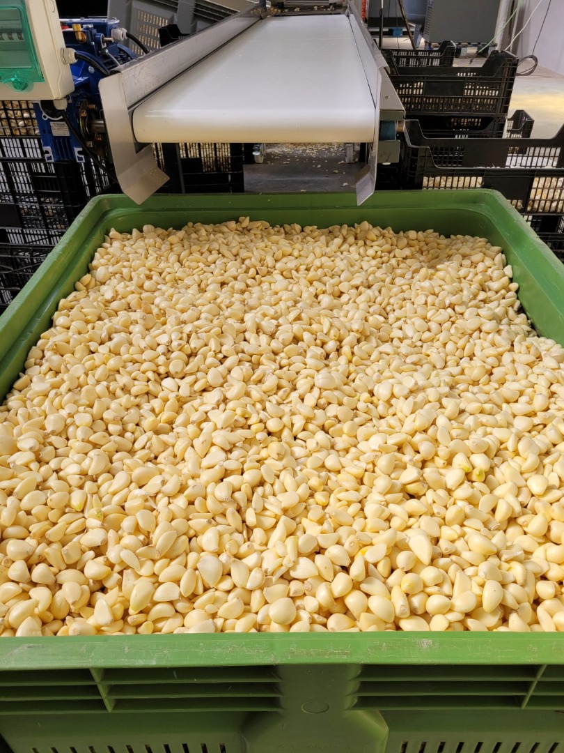 Fresh peeled garlic cloves