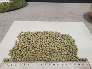 I sell beans, green peas, oats, chickpeas for sowing