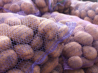 I am selling potatoes variety: "Bellarosa"; "Sante" from household.