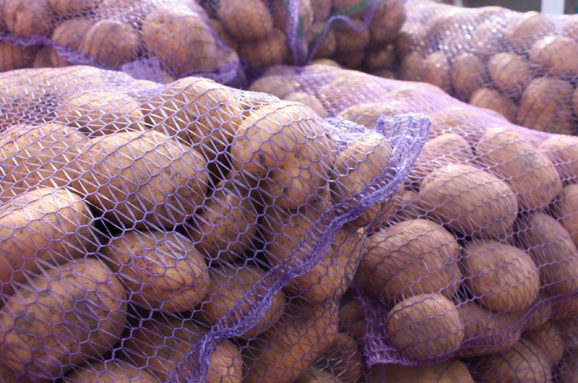 I am selling potatoes variety: "Bellarosa"; "Sante" from household