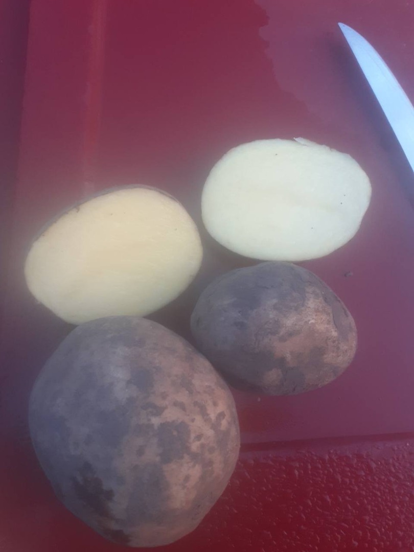 Hello gentlemen, I will buy potatoes 200-250 t/month