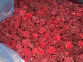 I am selling extra quality raspberries from my own