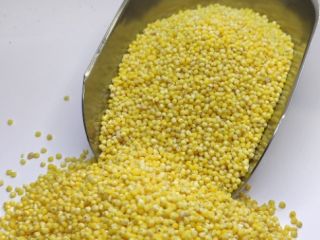 Hulled millet conventional from a producer. Packaging big bag