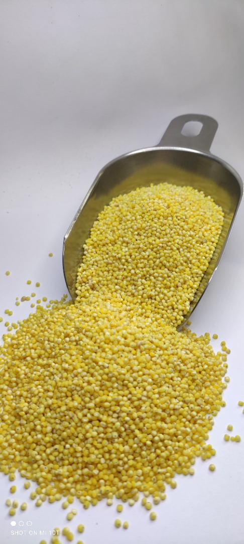 Hulled millet conventional from a producer