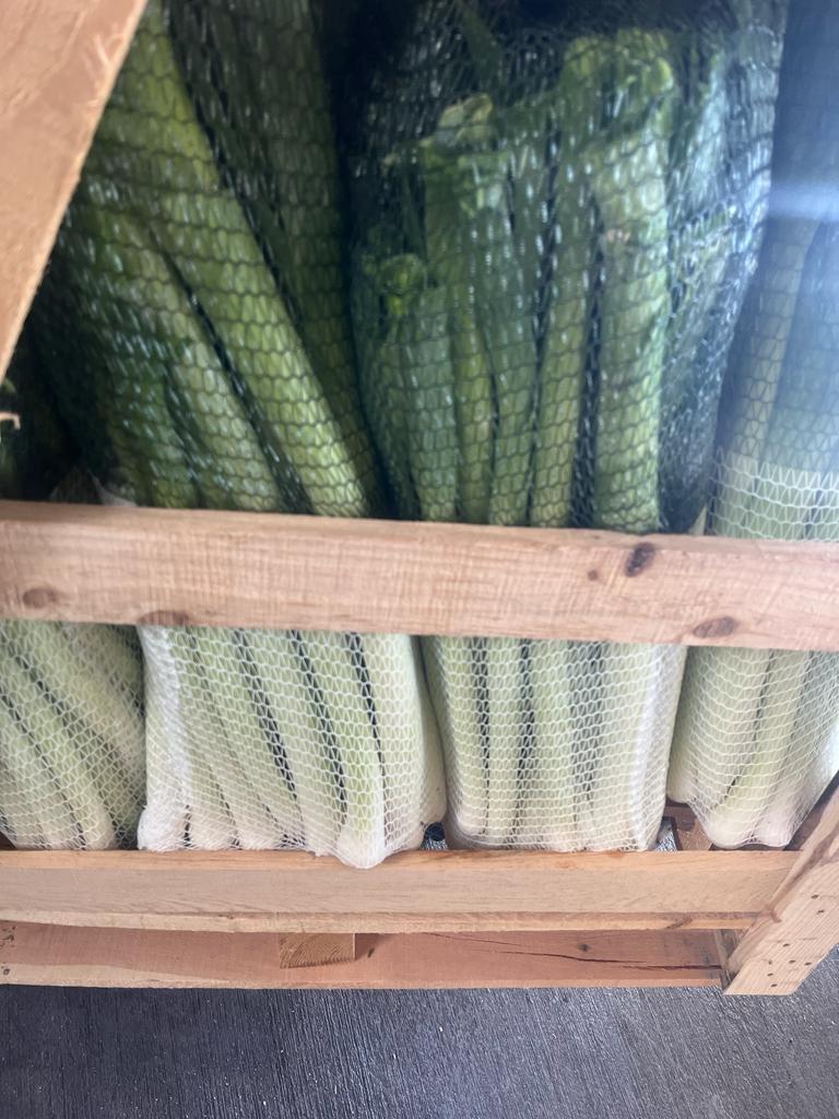 The highest quality leek ready for export