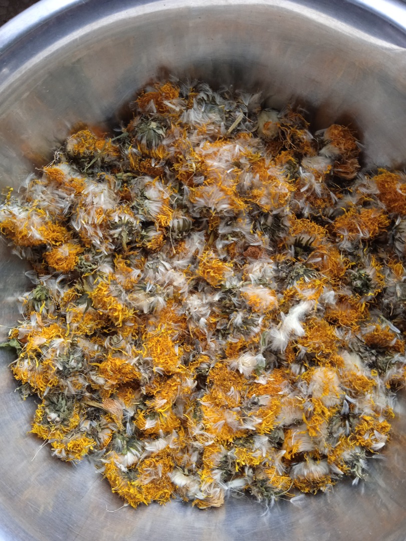 I have a dandelion flower for sale in the amount of about 250 kg