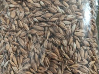 I will sell organic certified spelled 200t in a