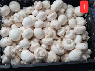 Sale of white mushrooms, Mix A, B, C. about