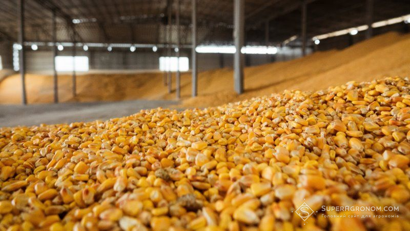 We sell corn from Ukraine