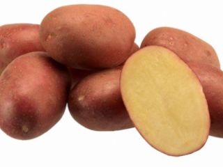 I will buy red and yellow potatoes in large