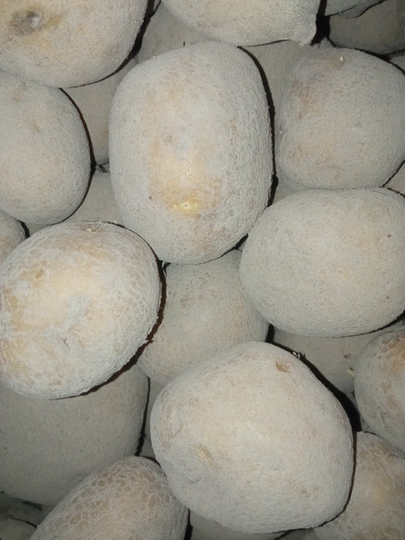 I will sell tasty potatoes for cooking