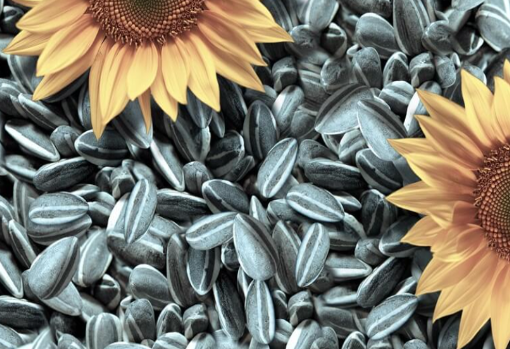 We have sunflower seeds for sale from the 2022 harvest