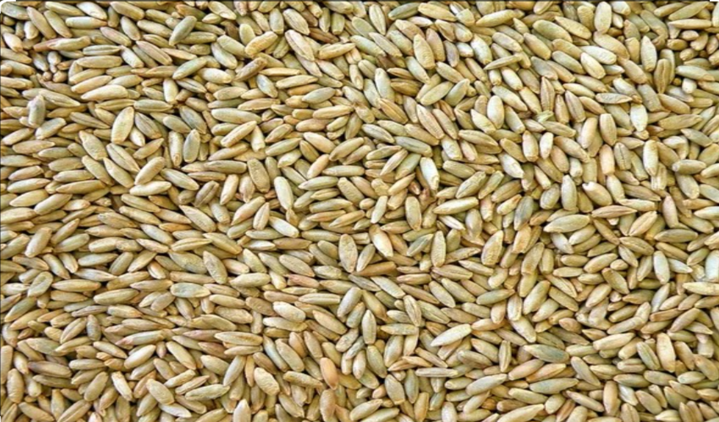 We have rye for sale