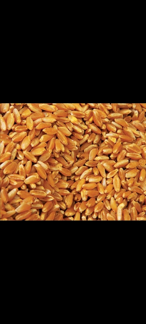 I sell about 60 tons of wheat