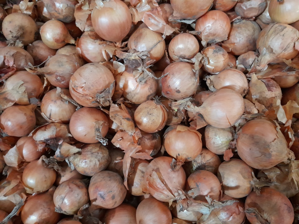 A pile of small onions caliber 4