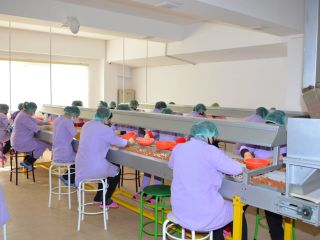 We offer high-quality organic hazelnut, cleaned, without husk. Minimum