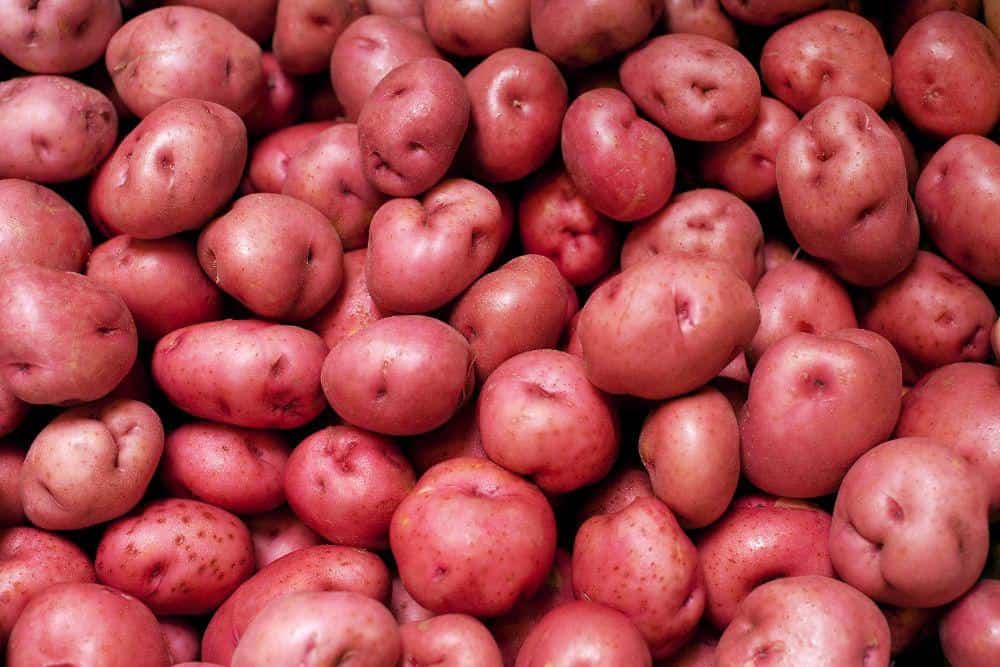 I buy red potatoes in a minimum quantity of 5 tons, with home delivery if possible