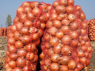 I will always buy onions in Ukraine. A huge