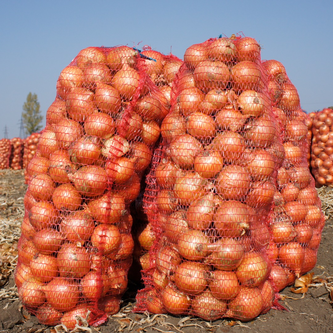 I will always buy onions in Ukraine