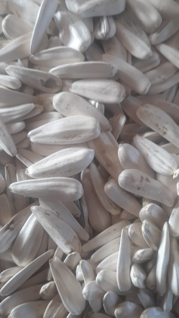 we sell sunflowers for picking (roasting), also suitable for peeling