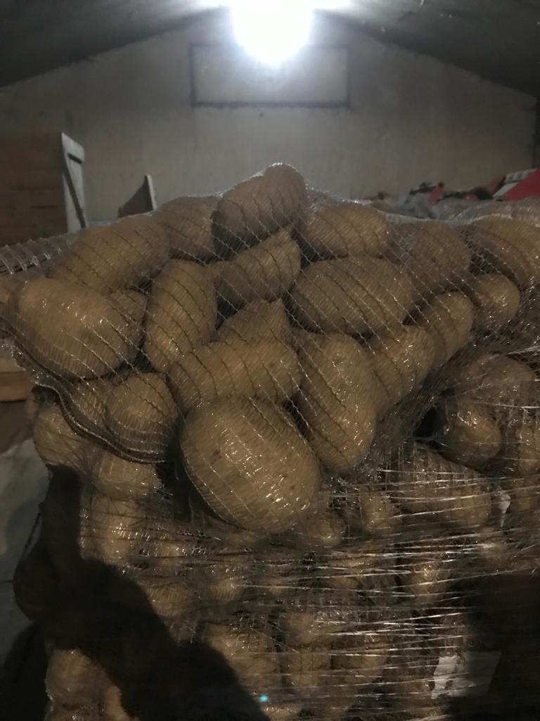 I am selling potatoes imported from France directly from the producer 50 plus in 10 kg bags