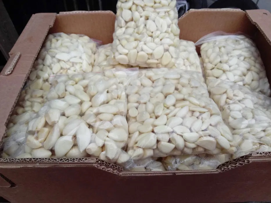 Sale of peeled garlic - cloves