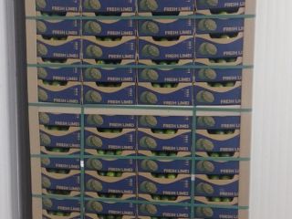 Tahiti Acid Lime Global Gap & Rainforest Alliance Certified,