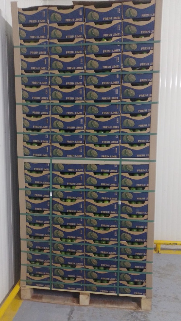 Tahiti Acid Lime Global Gap & Rainforest Alliance Certified, presentation 4 Kg Box