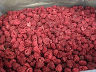For sale: frozen rapberry 90/10 - 3.6 eur frozen