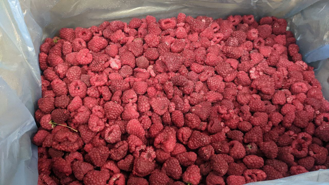 For sale: frozen rapberry 90/10 - 3.6 eur frozen rapberry 60/40 - 3.2 eur frozen rapberry 50/50 - 2.9 eur frozen rapberry scrap and crushed - 1.7 eur Please