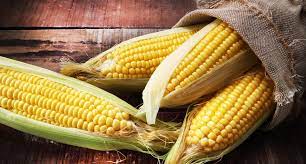 Hello, I have dry corn to offer with a moisture content of 11%-14.5% We also have our own transport