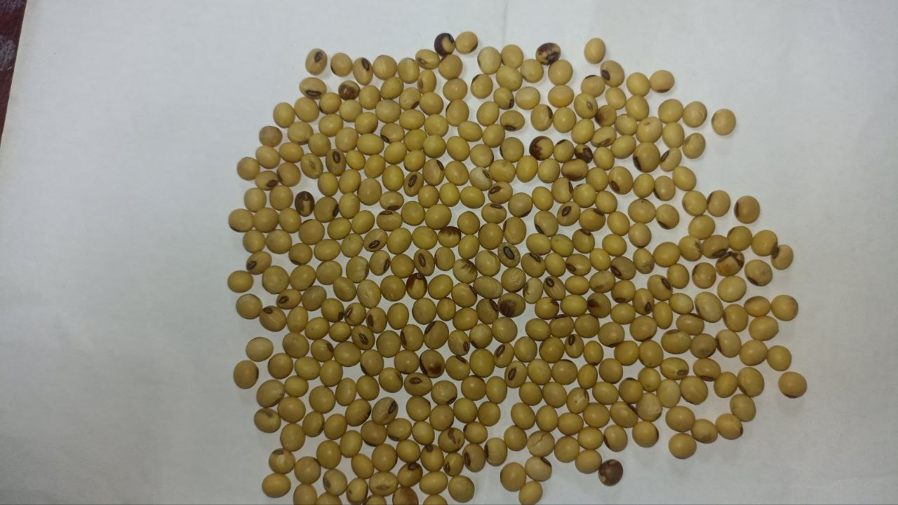 Unique Product sp
