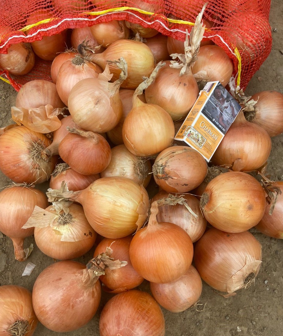 White onion, caliber 55 mm