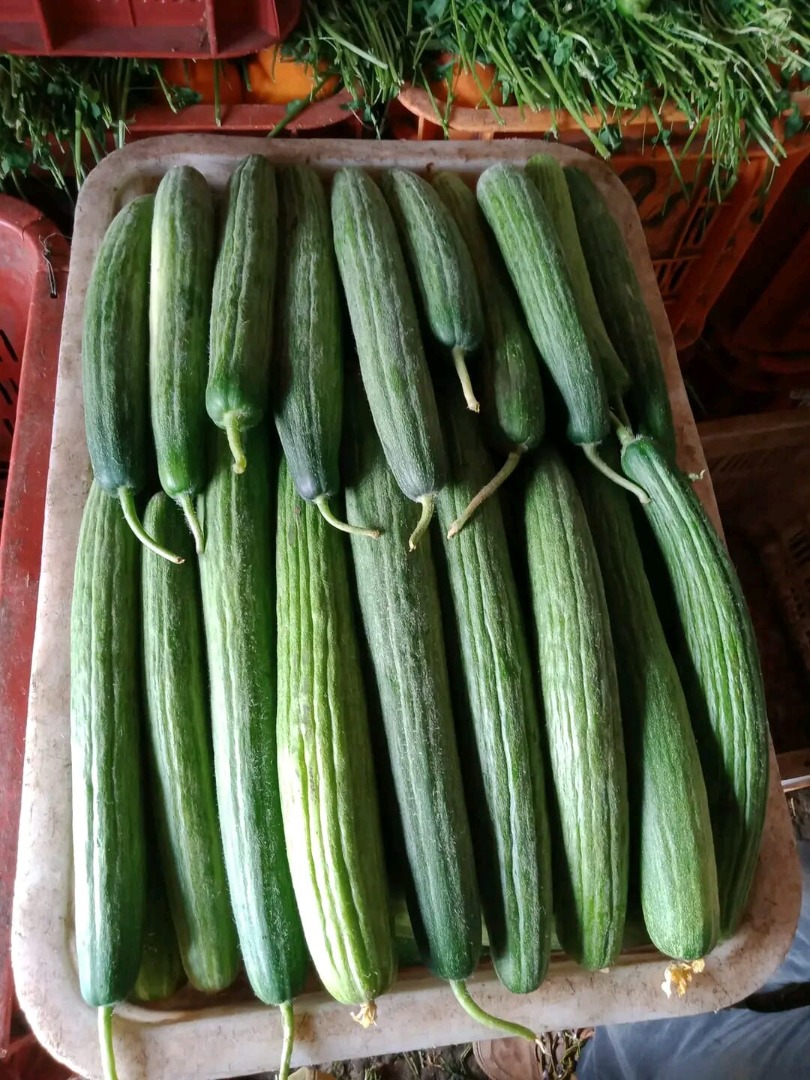 Cucumbers
