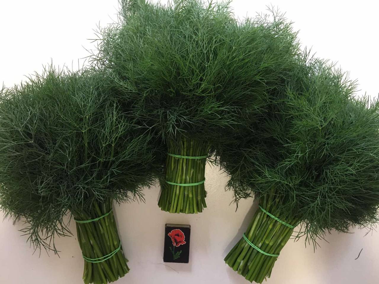 The Ukrainian Agricultural Company produces dill and parsley in large quantities