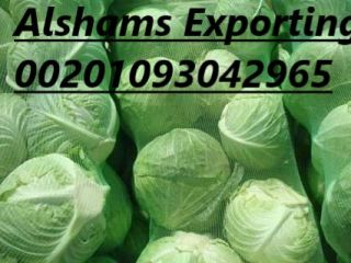 Hereunder our offer for Iceberg Lettuce with the following