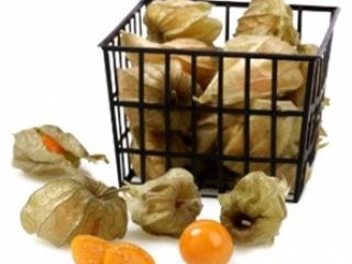 PHYSALIS PERUVIANA Presentaciones a Granel 2KG - Cestos 100G