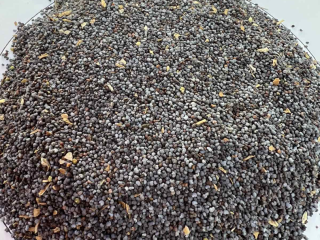 Bulgarian origin Blue poppy seeds, purity 98%